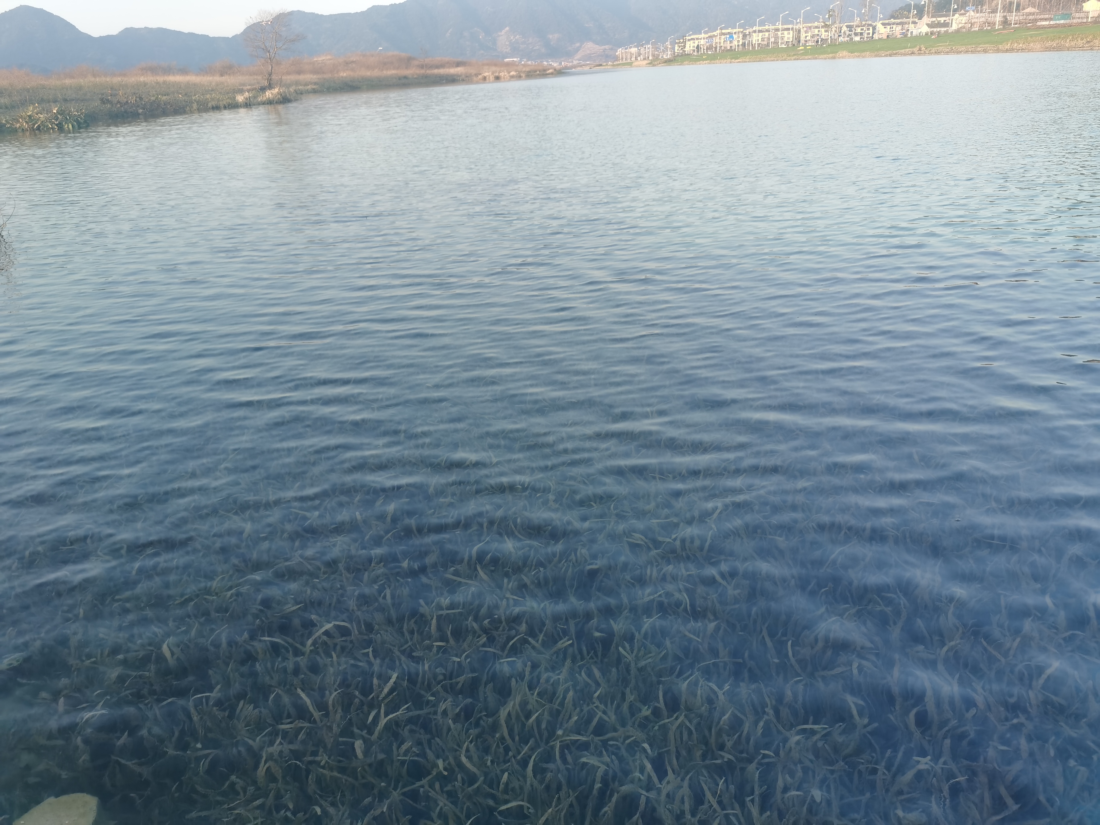 yl7703永利集团