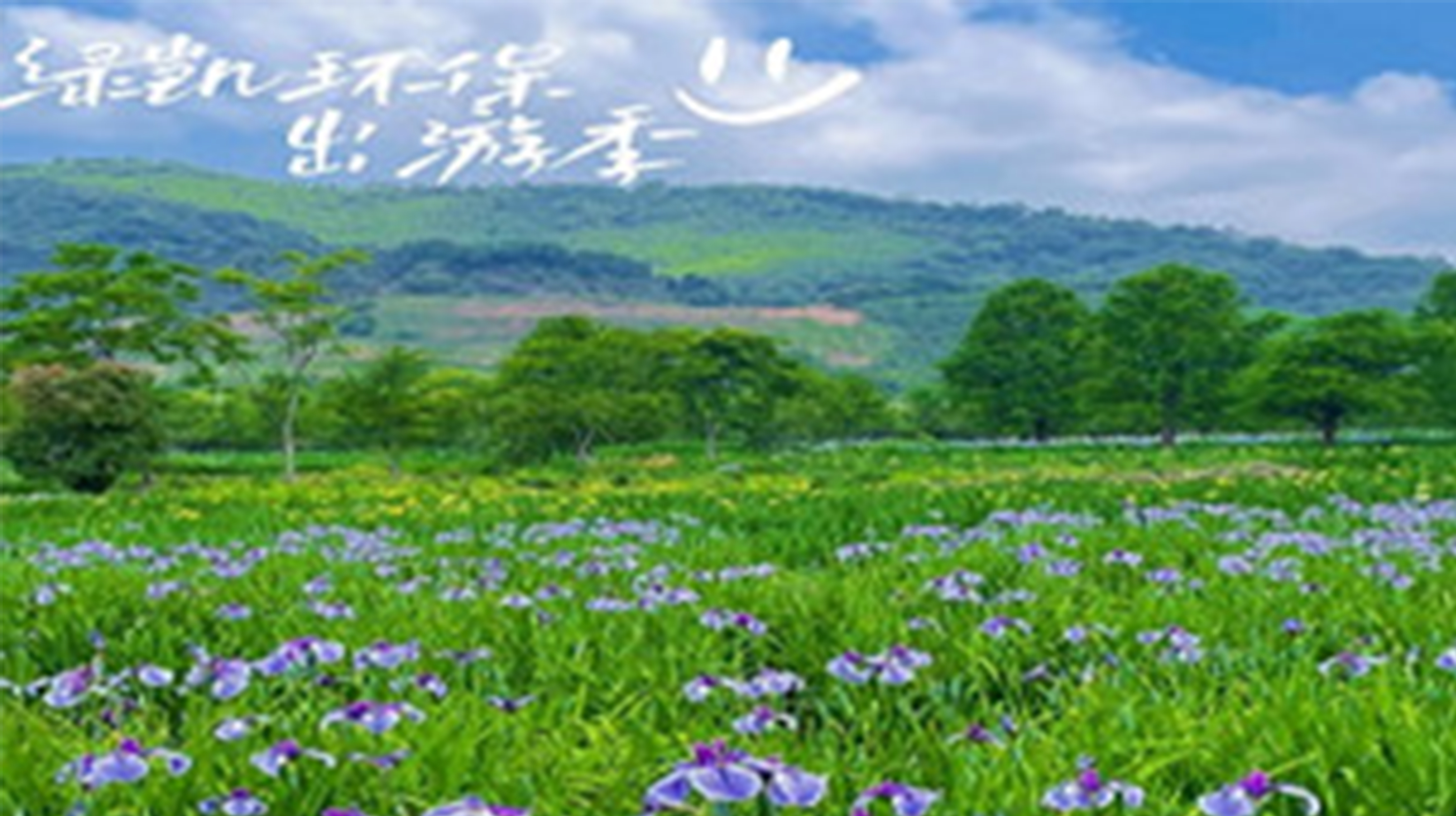 yl7703永利集团